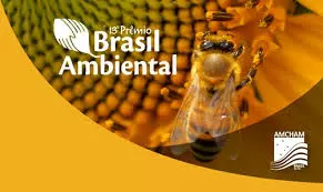 Prêmio Brasil Ambiental